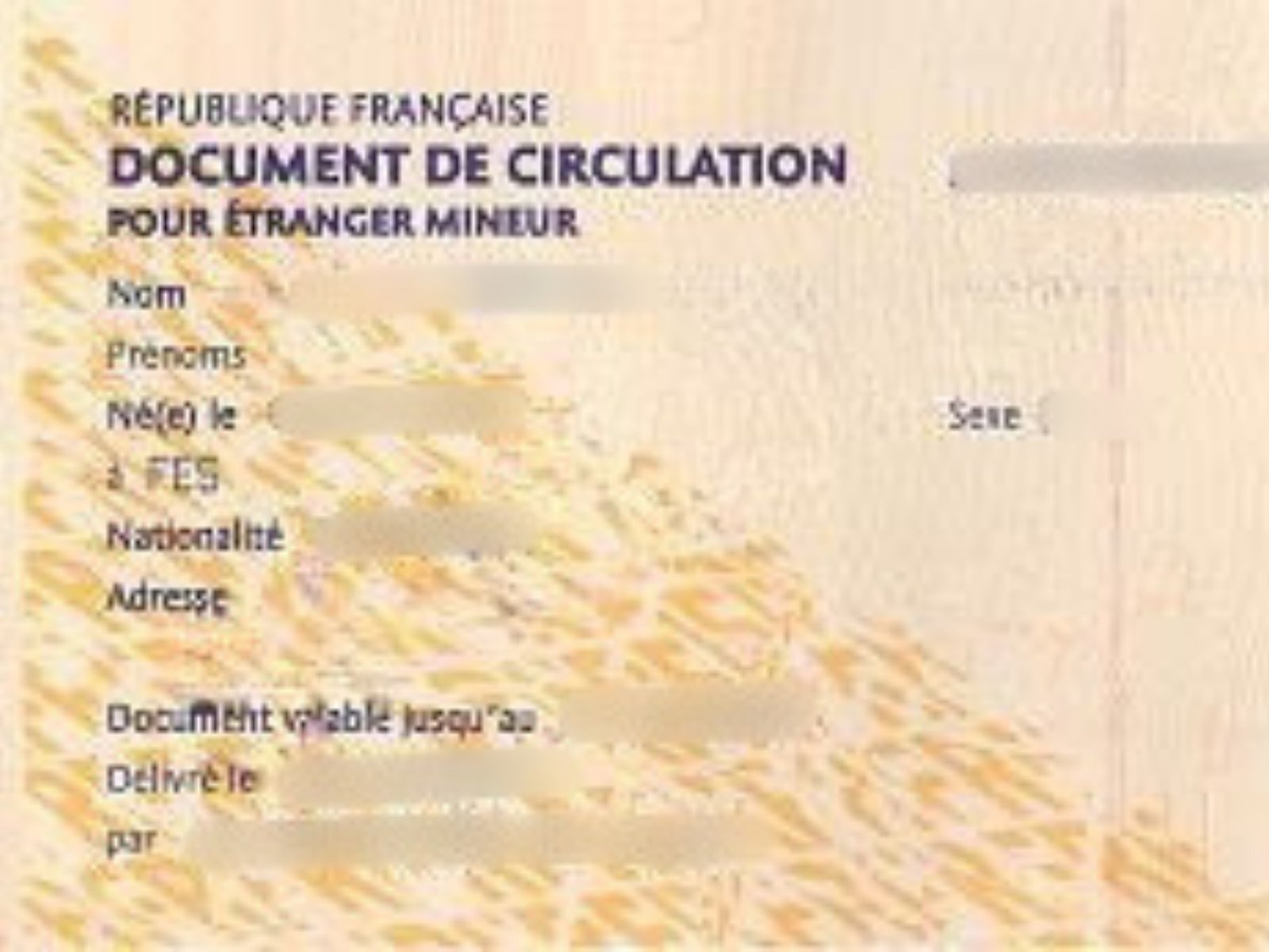 document de circulation pour mineurs